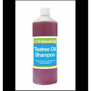 NAF Tea Tree Oil Shampoo