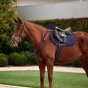Dublin 3 Point Breastplate with Brass Buckles