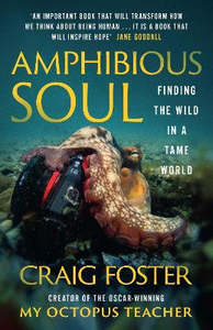 Amphibious Soul: Finding the wild in a tame world (paperback)