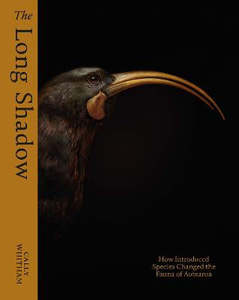 Art Books: The Long Shadow