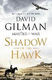 Shadow of the Hawk