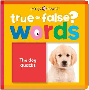 Children Early Learning: True or False? Words (Board)
