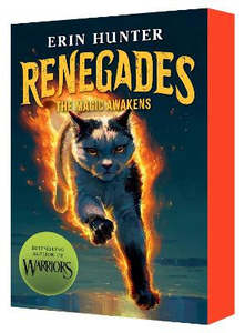 Children Teen Fiction: Magic Awakens (Renegades: Book One)