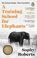 A Training School for Elephants