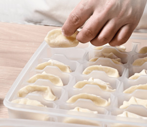 30pcs Frozen Dumpling Organizer Storage Container with Individual Compartment & Lid