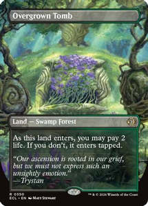 Overgrown Tomb (Borderless) (ECL-350) - Lorwyn Eclipsed Foil
