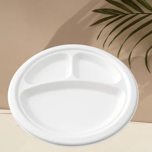 Products: 10″ 3-Compartment Bio Dinner Plate x 500pcs