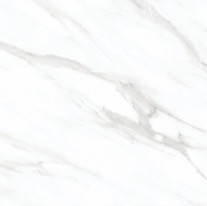 Products: Paris White - FD6A001M/FD6Y124（600 600mm) TD Floors