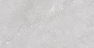 Products: Earth Blossom - LTA48T009PA (400 800mm) TD Floors