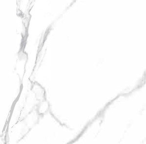 Products: Sky Powder - CB6Y025PA /FD6A039M（600 600mm） TD Floors