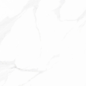 Smokey Ash - FD60100M/FD60100P （600 600mm） TD Floors