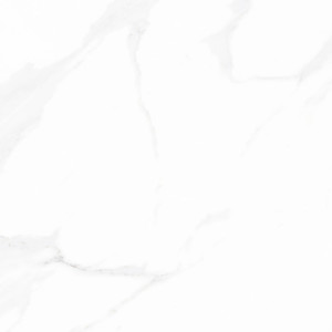 Products: Smokey Ash - FD60100M/FD60100P （600 600mm） TD Floors