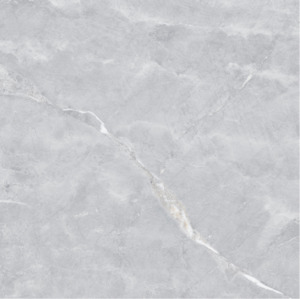 CB6Y055PA/FD6A414M（600 600mm） TD Floors