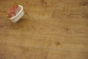 Products: Ebony Oak-H0003（Step Guard- A brand of Jerry Home USA） TD Floors