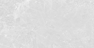 Products: LTP48T026PA （400 800 8mm） TD Floors