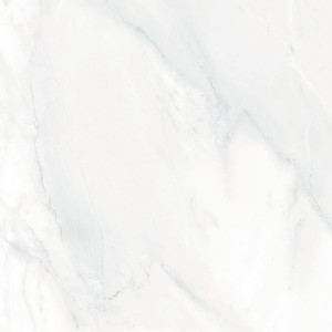 Products: FD61007M/FD61007P （600 600mm） TD Floors