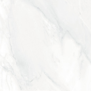 Products: FD61007M/FD61007P （600 600mm） TD Floors