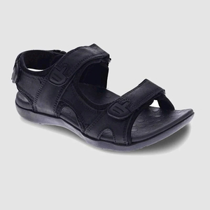 Mens Footwear: Mens Scholl Brody Sandal