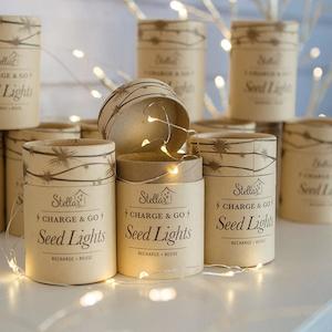 Childrens Lighting: Charge & Go Seed Lights - Silver