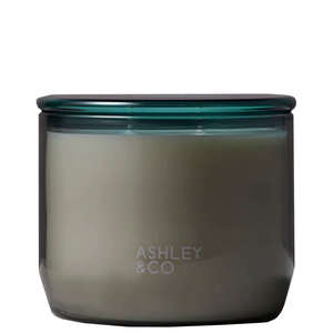 Candles Room Fragrance: Ashley & Co Waxed Perfume XL Candle