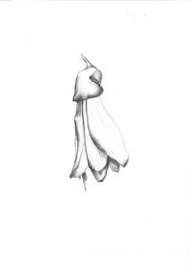 MONNI Art | Kowhai Print