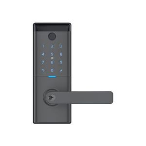 Smart Locks: SREASC02G - Schlage Ascent Smart Entrance Lever - Graphite