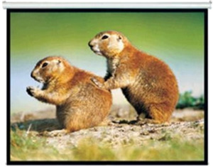 Products: Brateck 150" 4: 3 Pull Down Projector Screen Matte - Techtonic