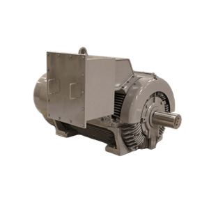 Products: TECO Electric Motors for Hazardous Areas
