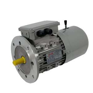 TECO Te3 2 Speed Cast Iron Motors – TEFC