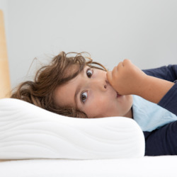 Pillows: teddy junior - Kids Pillow