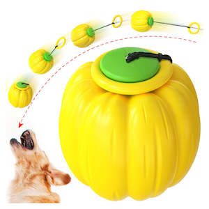Excite, Throw, and Chase Retractible Pumpkin Dog Chew Toy
