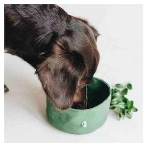 Collapsible Canvas Travel Dog Bowl