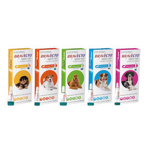 Flea & Tick Spot On For Dogs | Bravecto