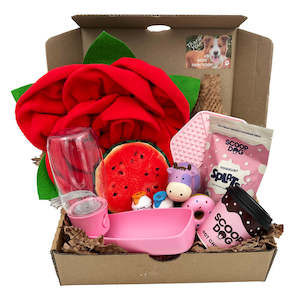 Girls Having Fun | Teddy's Gift Bundle