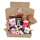 Sweet Treats | Teddy's Gift Bundle