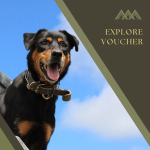 Products: Explore Package Gift Voucher - Te Karaka Lodge Rural Retreat