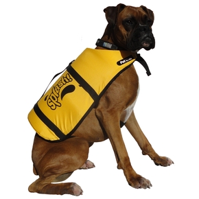 Safety: Dog Life Jackets