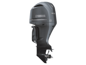 Products: Yamaha F300