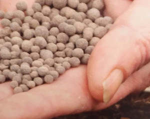 Fertilisers: Fertilisers: Guano+Bulb Blend 4kg