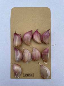 All: Selected Planting Cloves - Creole