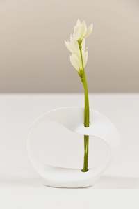 Vase: Twisted Ribbon Bud Vase
