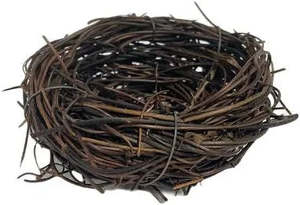 Garden 1: Birds Nest