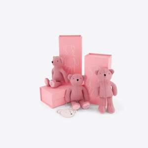 Dear Ted Little Ted | Rosewater