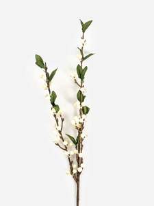 Cranberry Spray | White