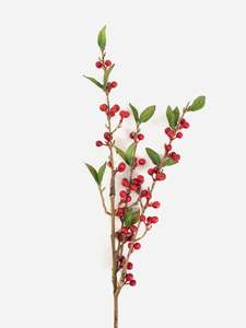 Garden: Cranberry Spray Red