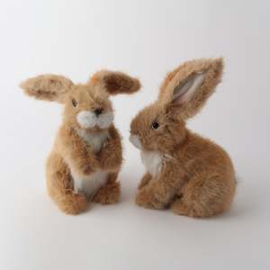 Children: Oxford Bunnies