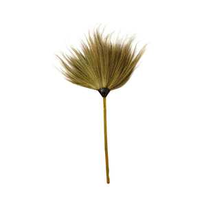 Authentic Thai Broom | Small