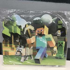 Party Supplies: Party invitations - pack of 10