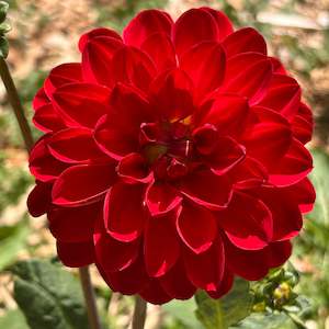 Youth Enterprise Workshops: Taratahi Ruby