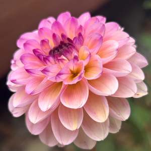 Youth Enterprise Workshops: Wine Eyed Jill